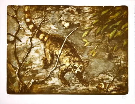 Lithograph Aceves Humana - Cacomitle