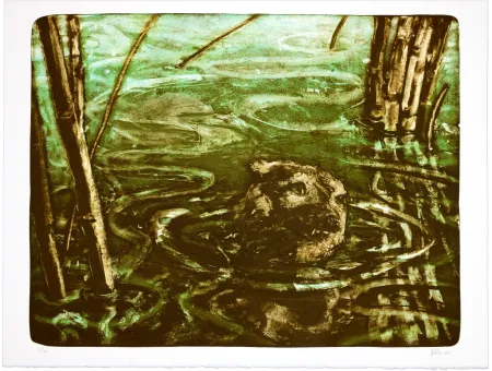 Lithograph Aceves Humana - Sans titre