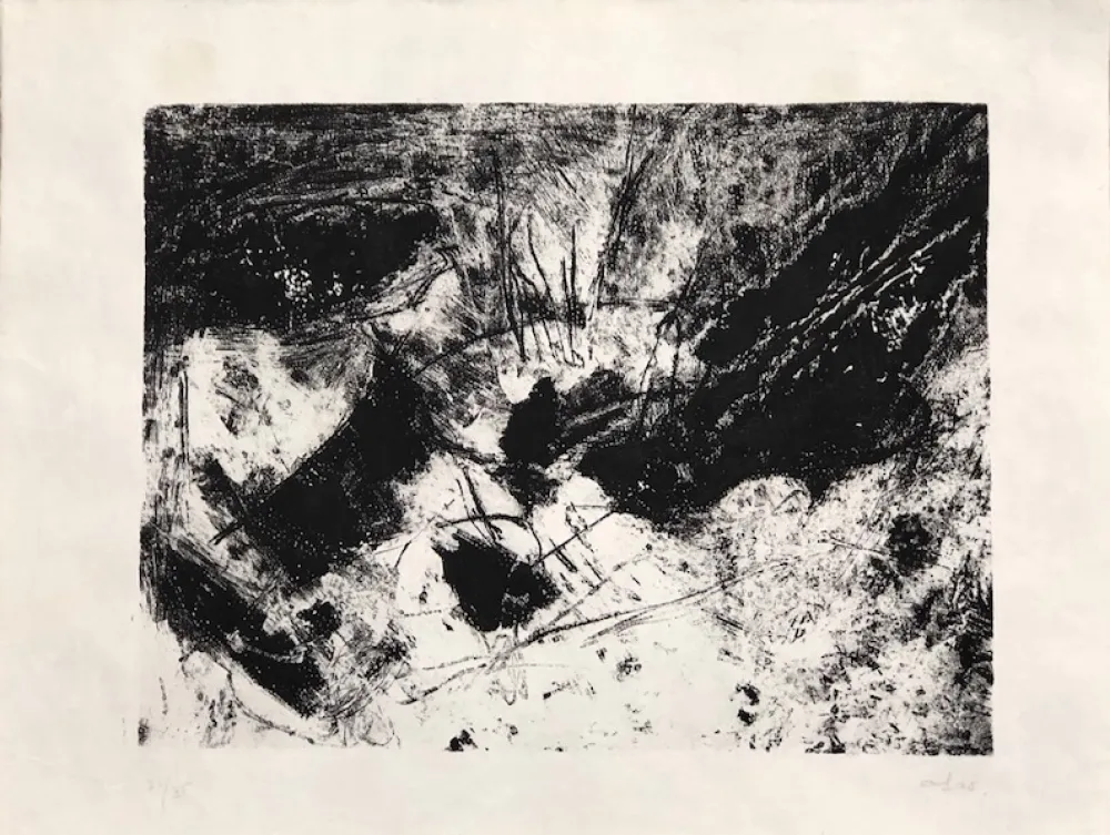 Engraving Afro - Sin titulo