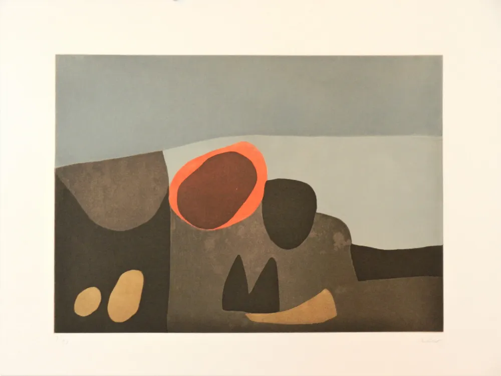 Etching And Aquatint Afro - Vulcani 2