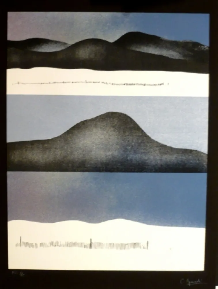 Screenprint Aguadé - Analitica 10