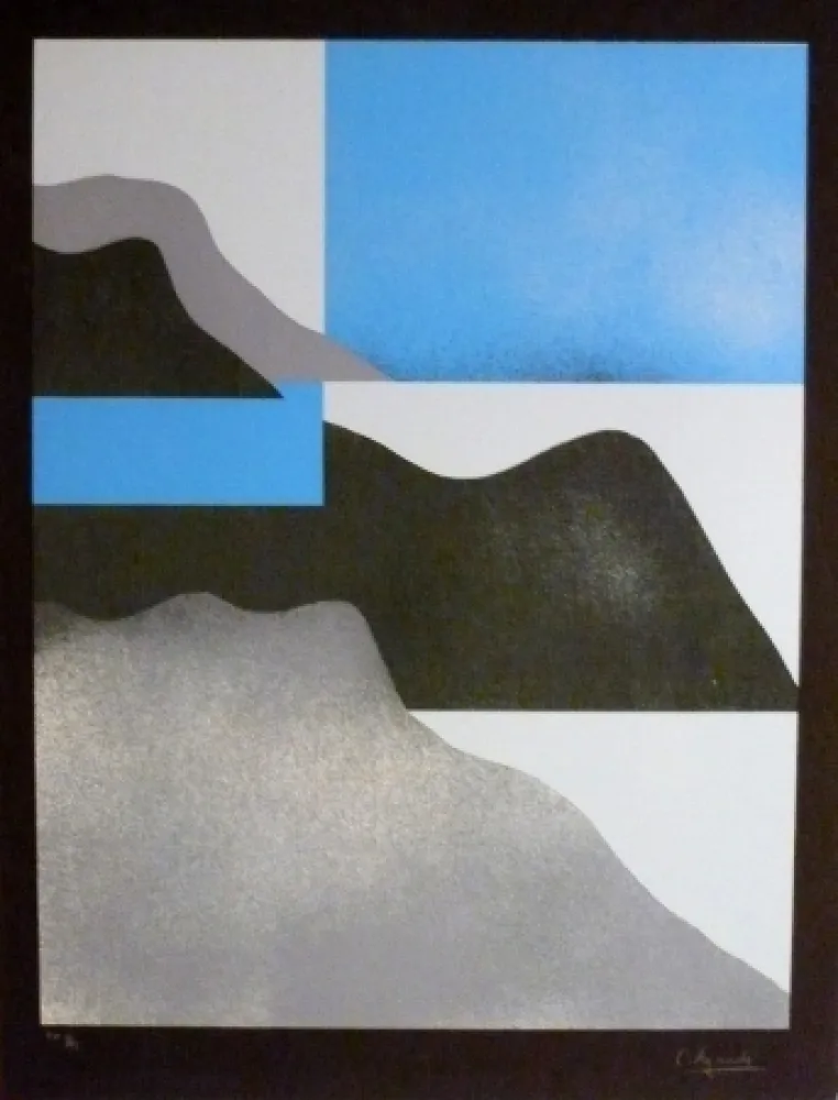 Screenprint Aguadé - Analitica 3