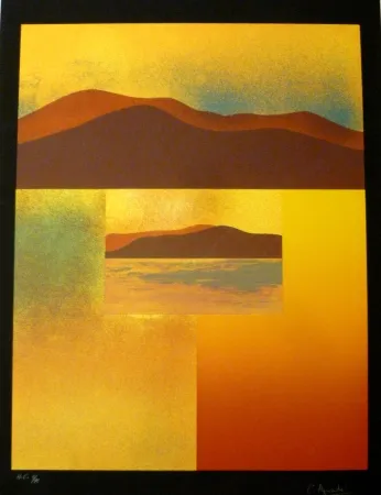 Screenprint Aguadé - Analitica 4