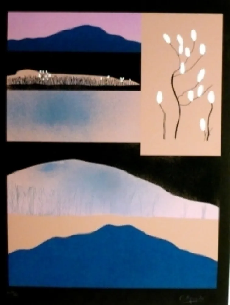 Screenprint Aguade - Analitica 6