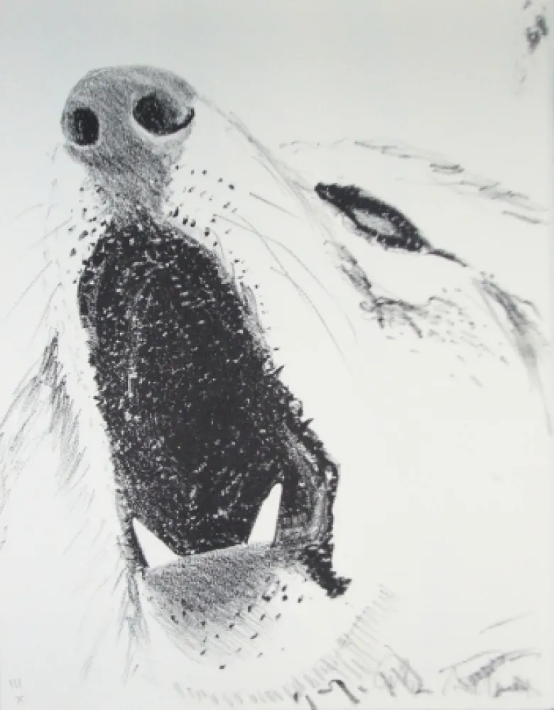 Illustrated Book Aillaud - L'Encyclopédie de tous les animaux - Tome III