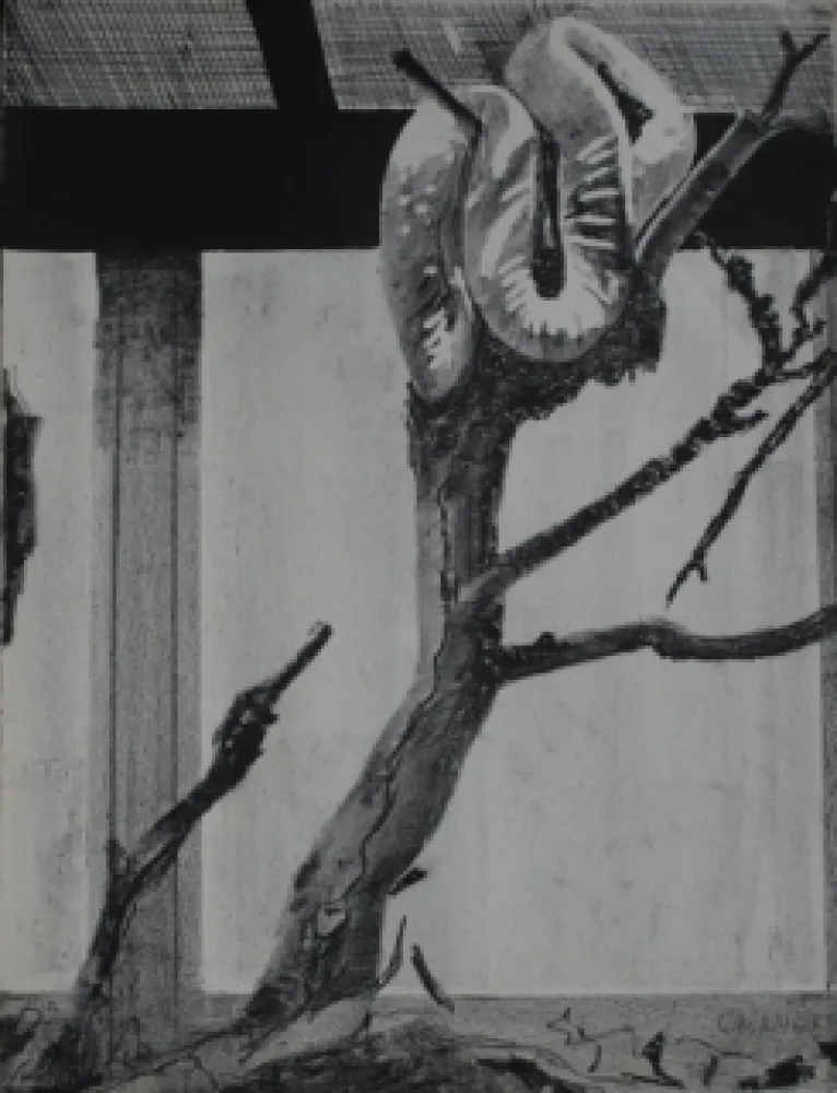 Lithograph Aillaud - Serpent