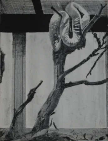 Lithograph Aillaud - Serpent