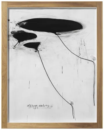 No Technical Alcaraz - Sin titulo