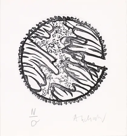 Etching And Aquatint Alechinsky - Chronique de la neige