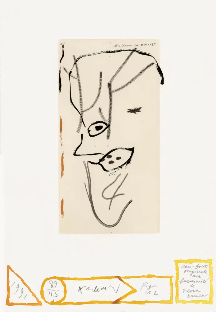 Engraving Alechinsky - Flore danoise 02 - De Presque là