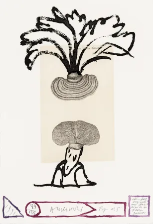 Engraving Alechinsky - Flore danoise 05 - Panaches