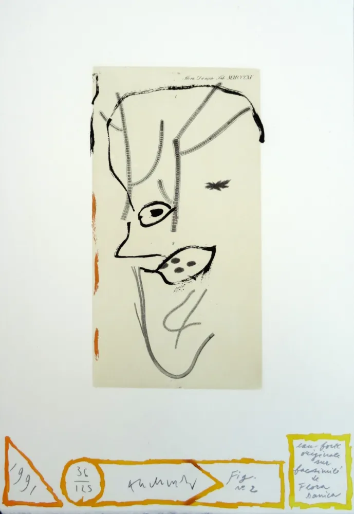 Engraving Alechinsky - Flore danoise : De presque-là