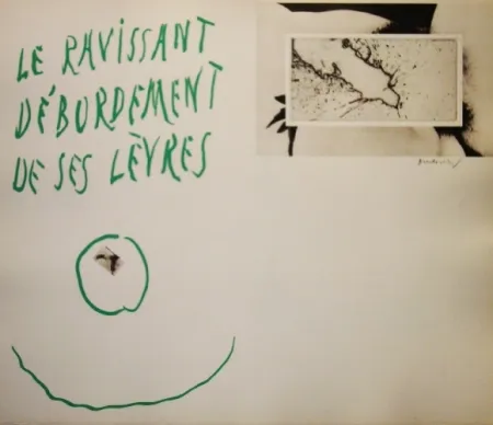 Etching And Aquatint Alechinsky - La ravissant débordement de ses lèvres