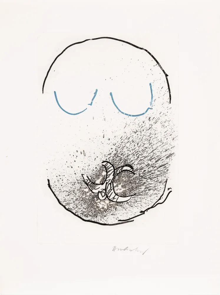 Etching And Aquatint Alechinsky - Pointes Planche IX bis