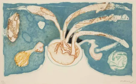 Etching And Aquatint Alechinsky - Volcan de nuit