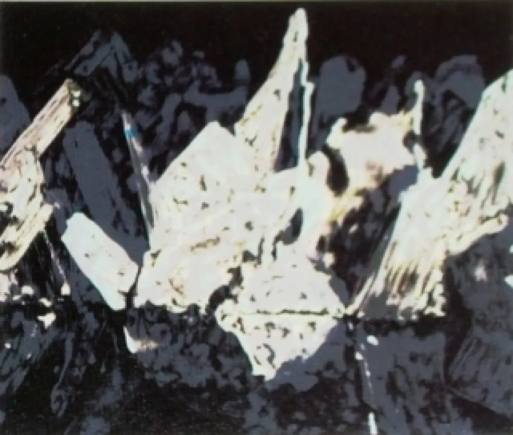 Lithograph Alexander - Sans titre