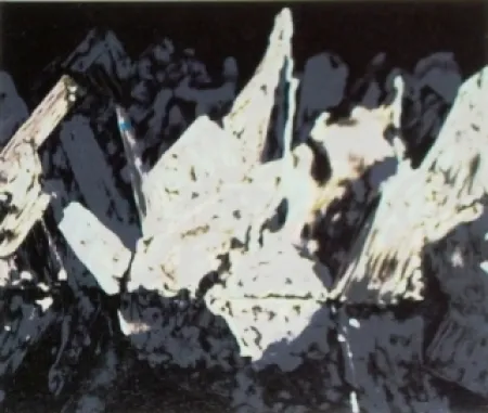 Lithograph Alexander - Sans titre