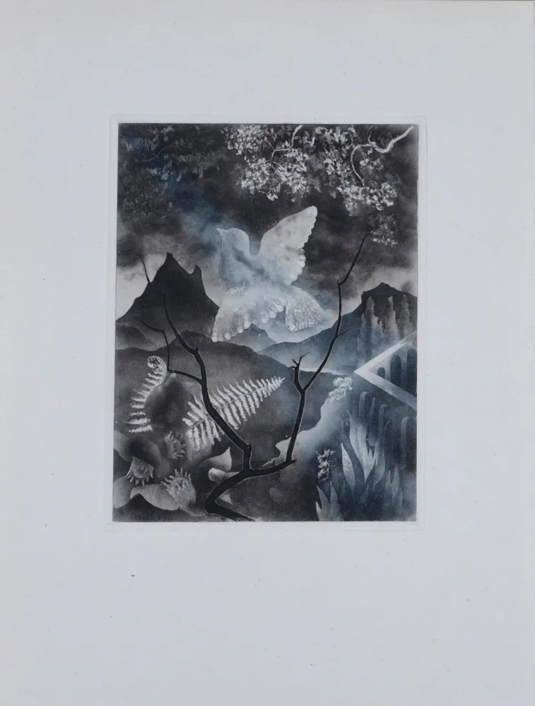 Etching Alexeïeff - The Dove