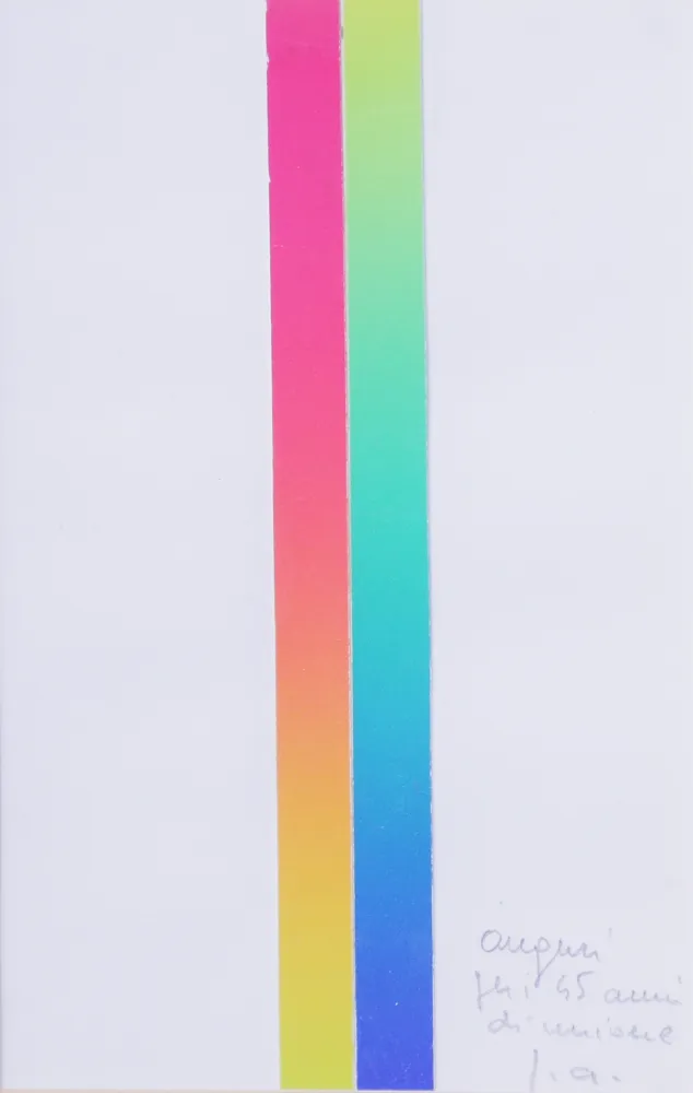 Lithograph Alviani - CROMIE SPETTROLOGICHE