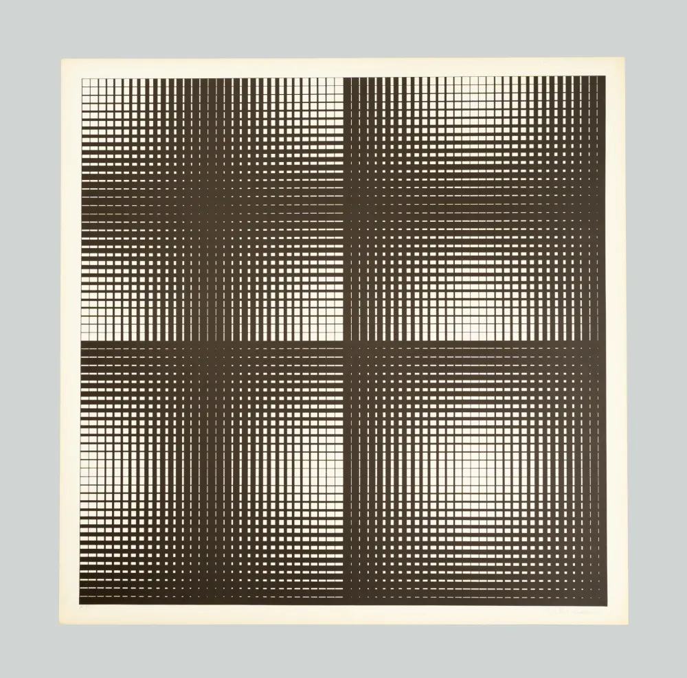 Screenprint Alviani - Programmazione grafica