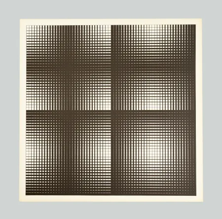 Screenprint Alviani - Programmazione grafica