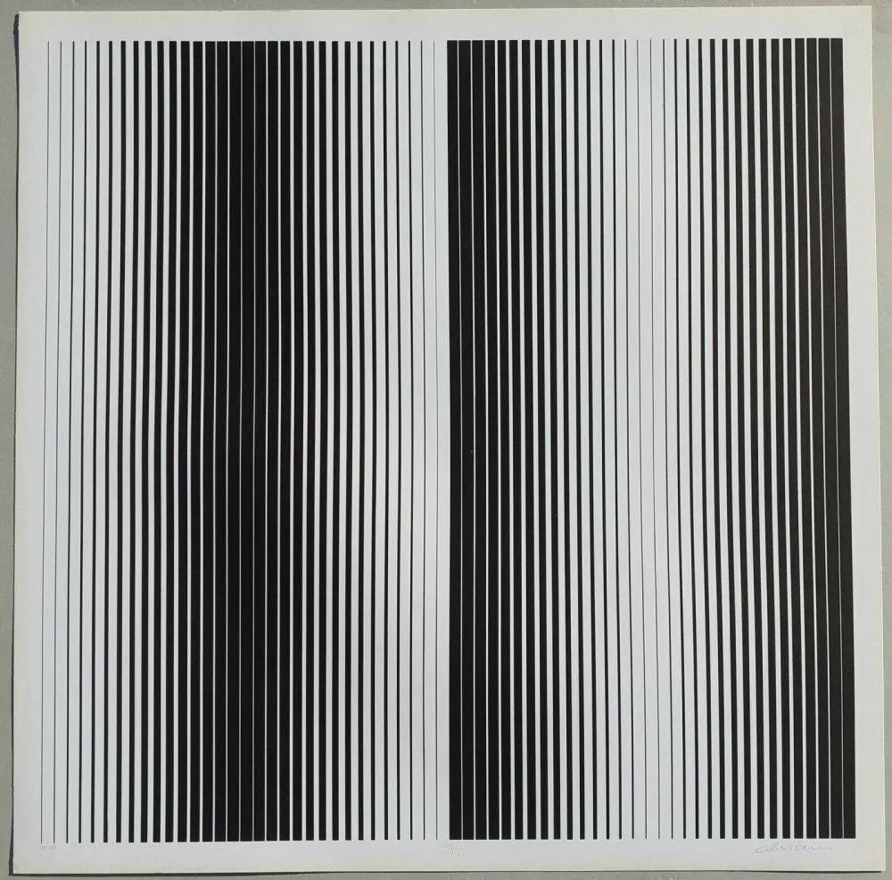 Screenprint Alviani - Senza titolo