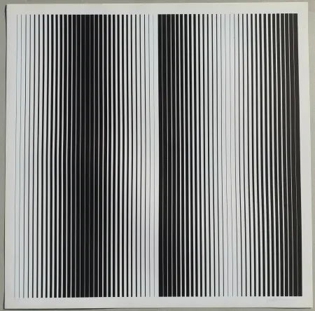 Screenprint Alviani - Senza titolo