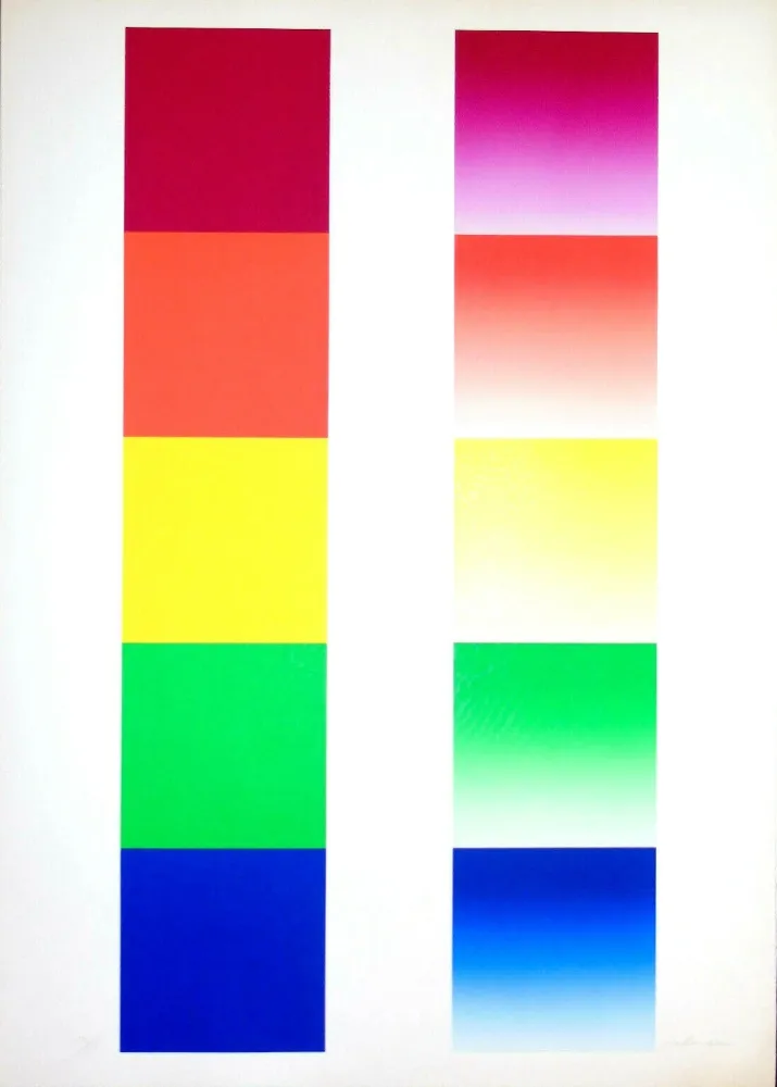 Screenprint Alviani - Senza titolo