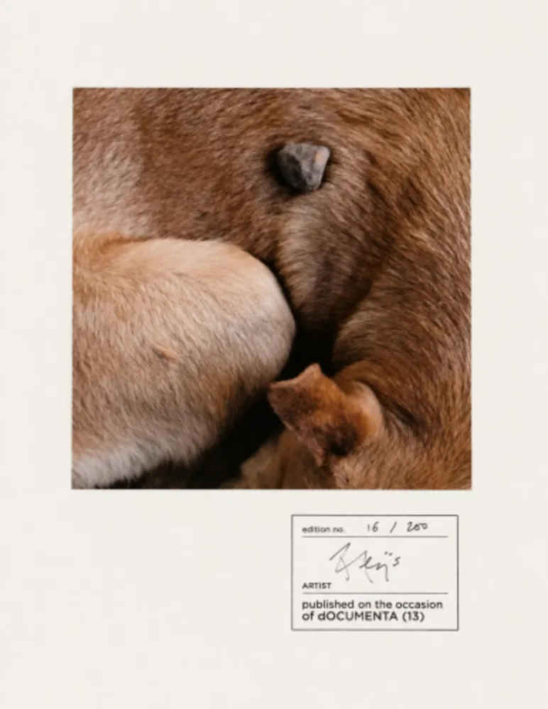 Photography Alÿs - Untitled (documenta 13)