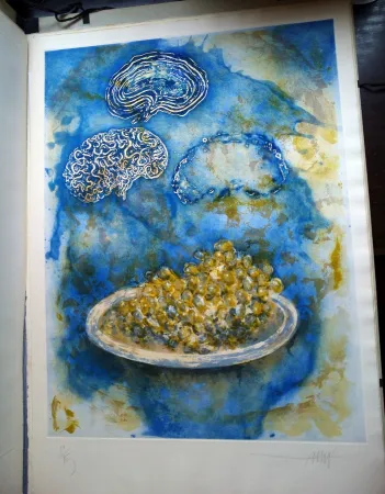 Illustrated Book Amat - La Ventada del somni