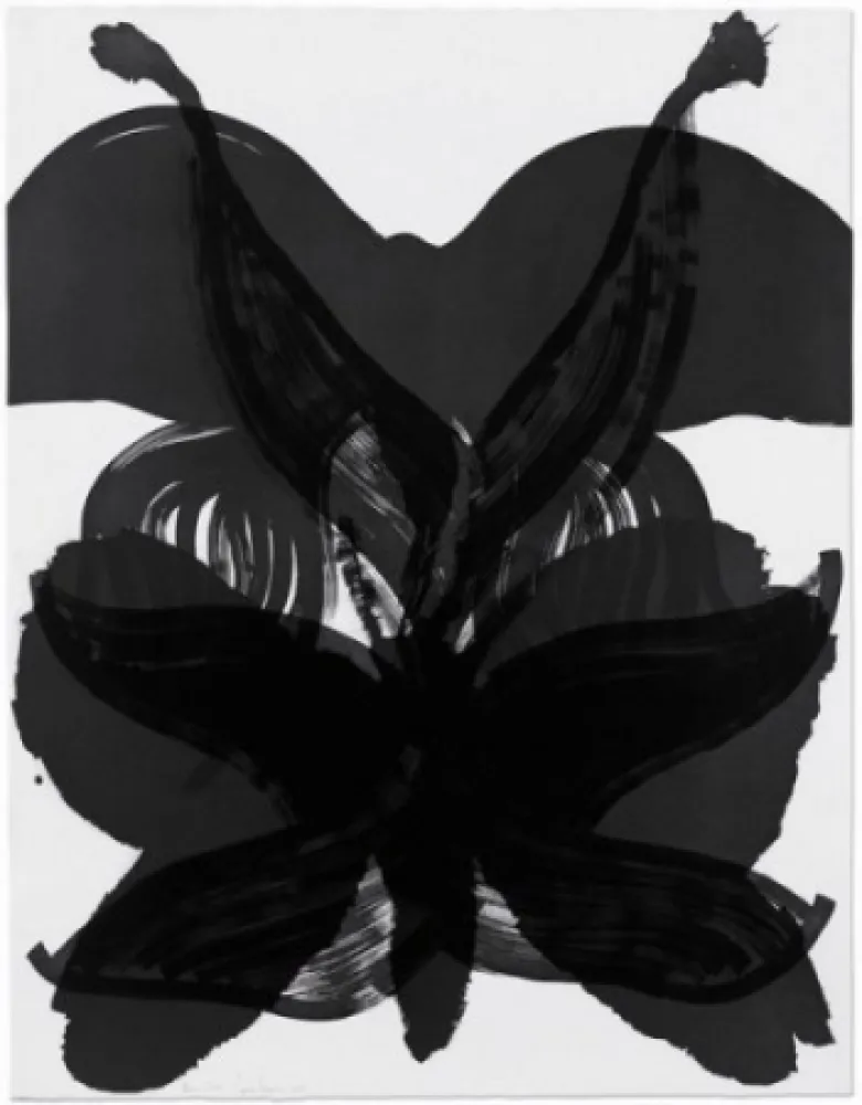 Engraving Amorales - Mod. 2