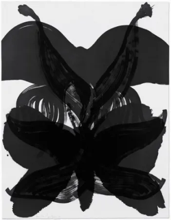 Engraving Amorales - Mod. 2