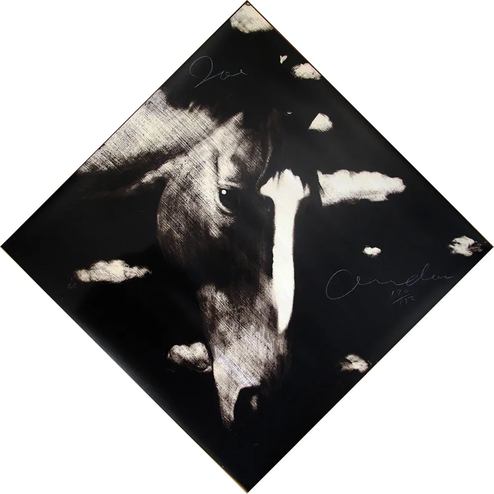 Screenprint Andoe - Horse II