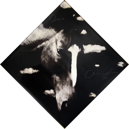 Screenprint Andoe - Horse II