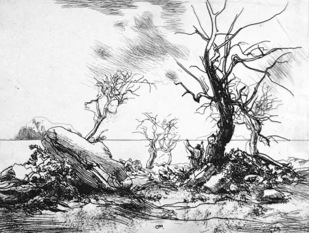 Engraving Annigoni - Paesaggio