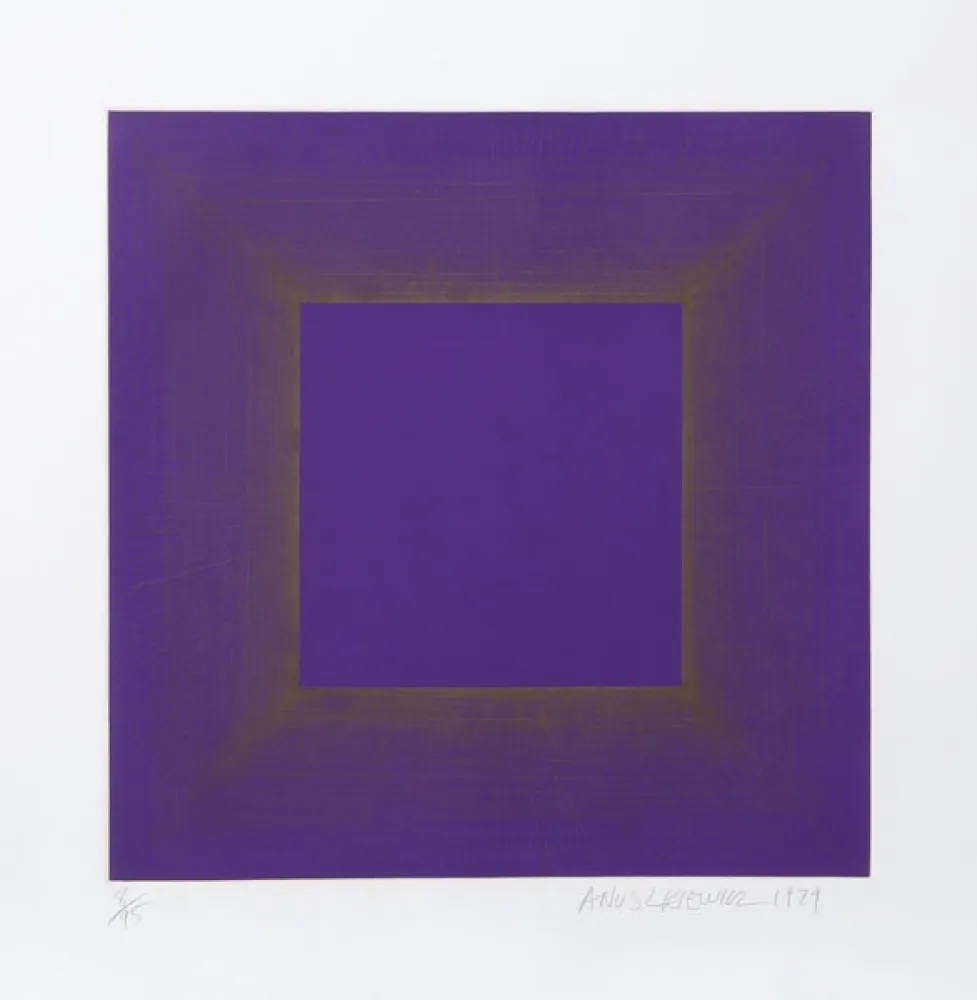 Aquatint Anuszkiewicz - Midnight Suite (Purple with Silver)
