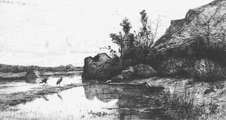 Engraving Appian - Marais de la Burbanche. (Ain)