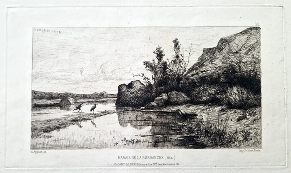 Engraving Appian - Marais de la Burbanche (Ain)