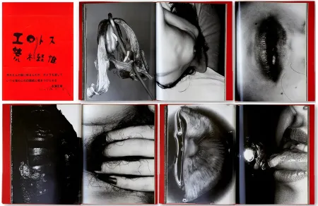 Illustrated Book Araki - EROTOS (1993)