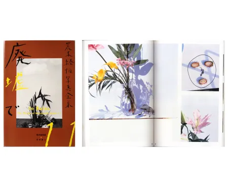 Photography Araki - The Works of Nobuyoshi Araki - n° 11. IN RUINS