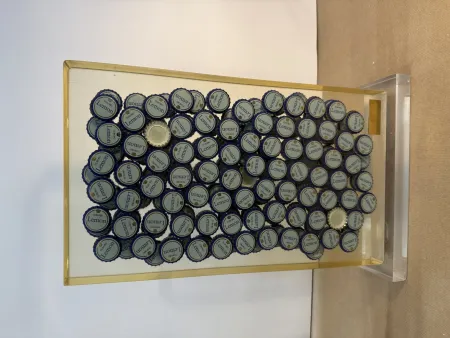 No Technical Arman - Bon santé V, 1996 