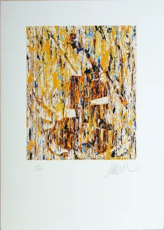 Screenprint Arman - VIOLINO