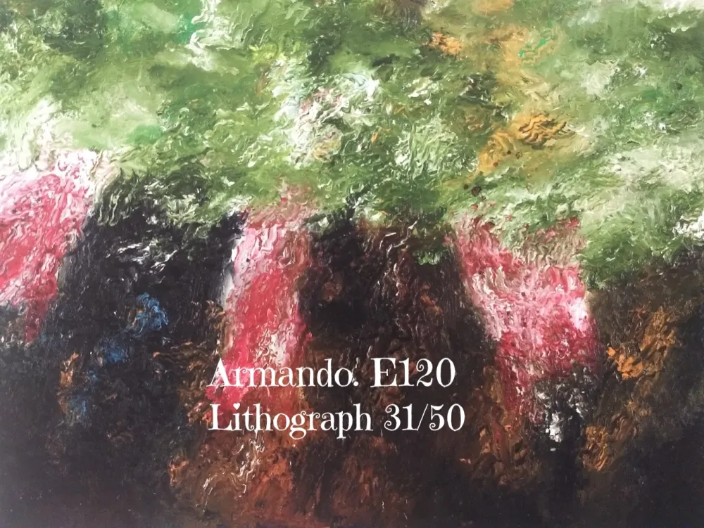 Lithograph Armando - Lithograph