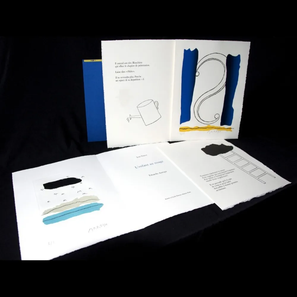 Illustrated Book Arroyo - L'enfant au nuage