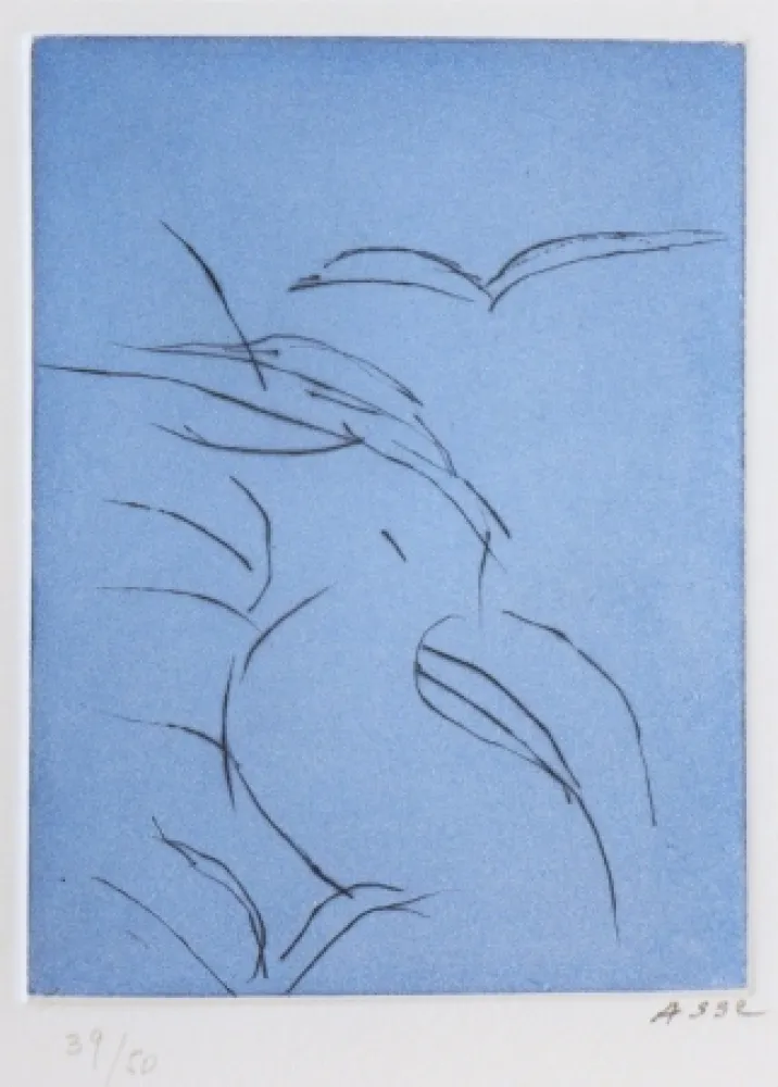 Etching And Aquatint Asse - Notes sur Thème 1