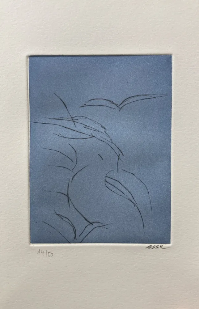 Illustrated Book Asse - Notes sur Thème. 9 pointes sèches. 