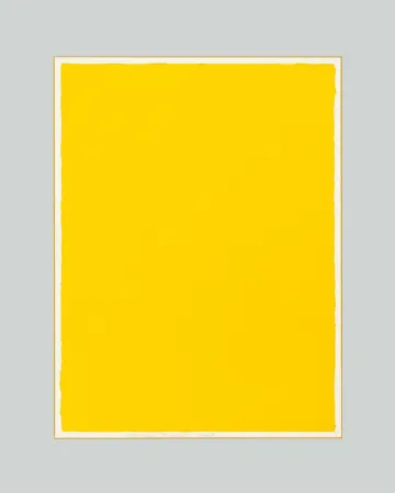 No Technical Aubertin - Monocromo giallo