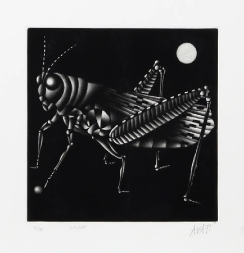 Mezzotint Avati - Criquet
