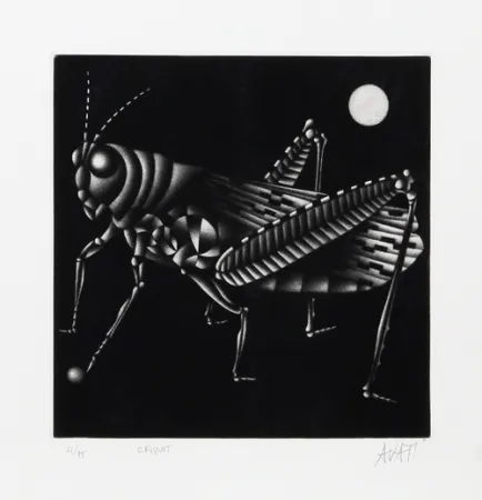 Mezzotint Avati - Criquet