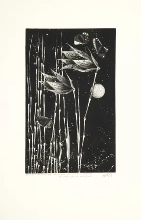 Aquatint Avati - Les papillons de Nagasaki